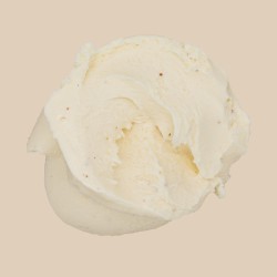 Brasilianische TONKABOHNE